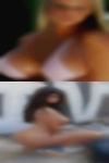 Discreet Montgomery